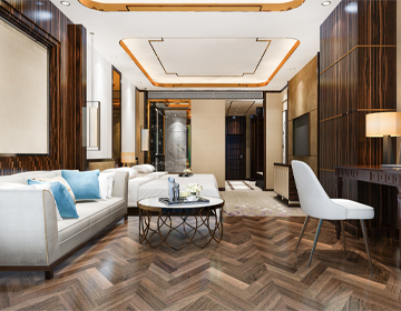 Interior Designs